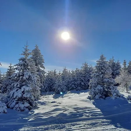 Ferienhaus Belle Air *