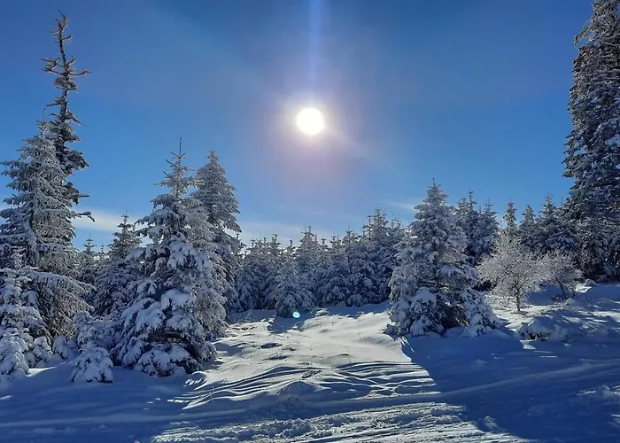 Vakantiehuis Belle Air *